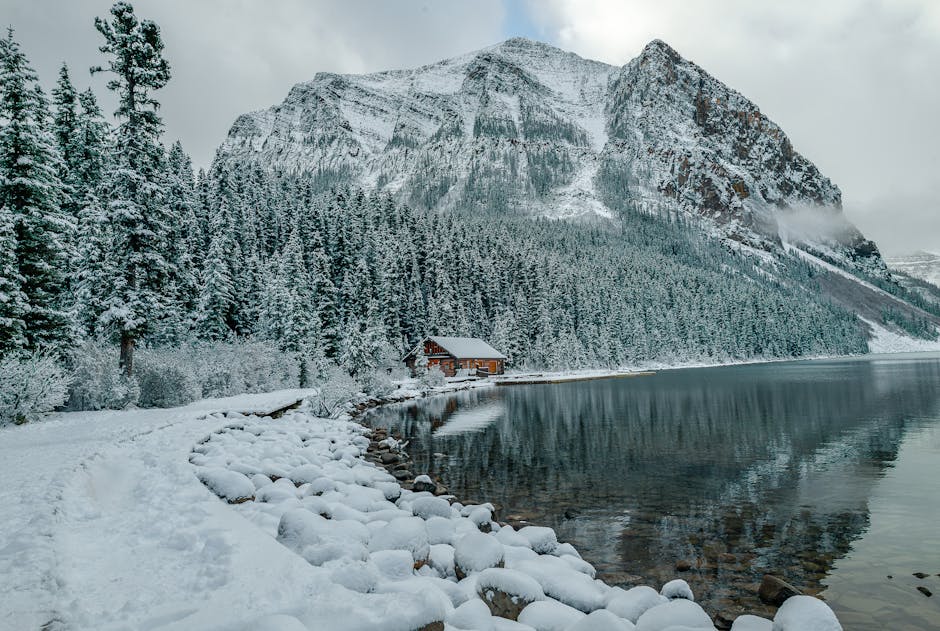 Projektno upravljanje