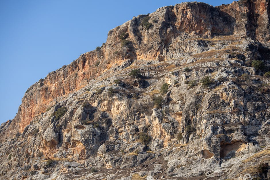 Renovacije i adaptacije